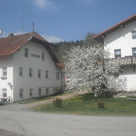 Gasthaus Zehrermuehle Schonberg  Ngoại thất bức ảnh