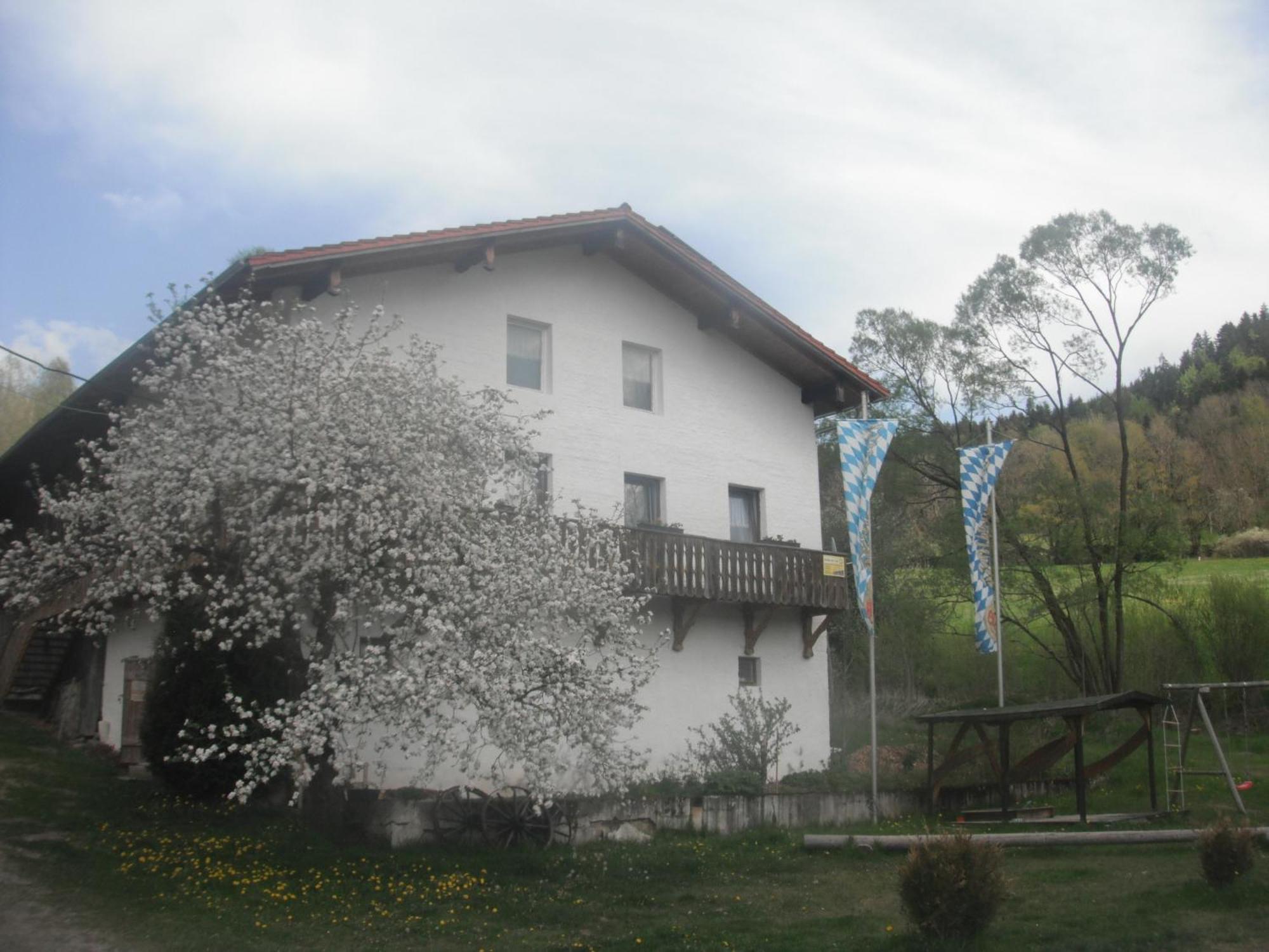 Gasthaus Zehrermuehle Schonberg  Ngoại thất bức ảnh
