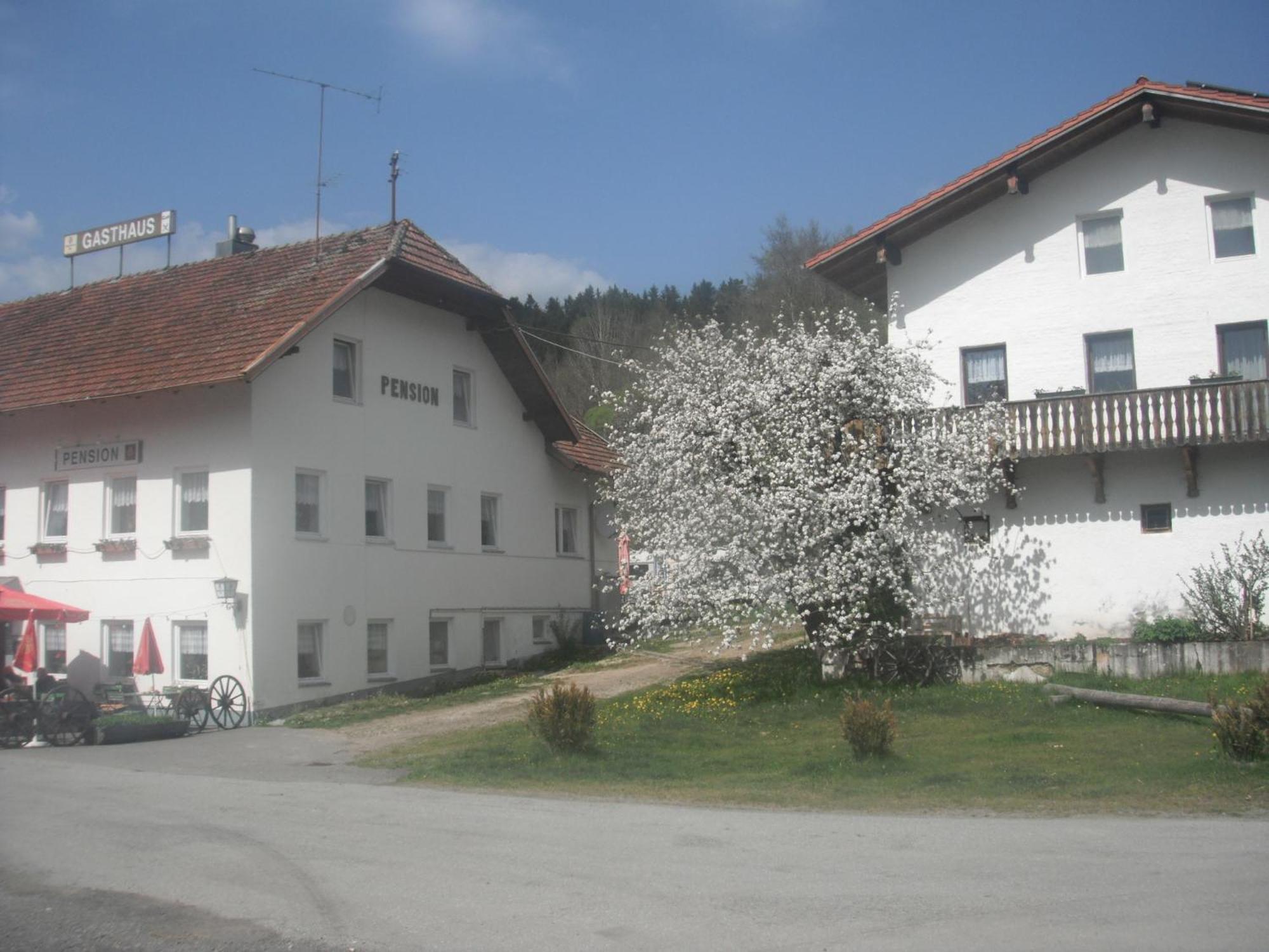 Gasthaus Zehrermuehle Schonberg  Ngoại thất bức ảnh